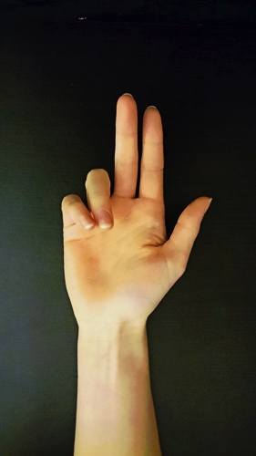 Hand of benediction MN 1.jpg