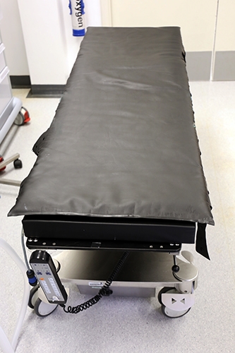 Figure 30.1 Patient warming mattress website .jpg