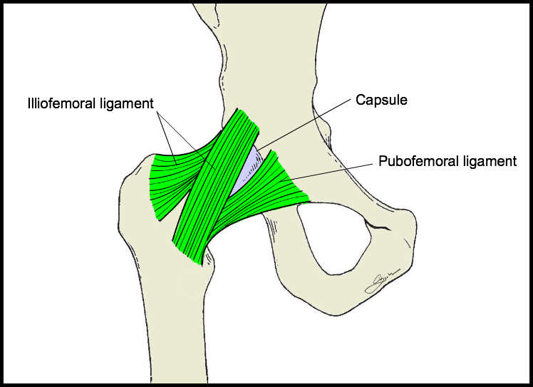 Topic - Postgraduateorth Opaedics